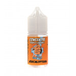 Concentré EUCALYPTUS Datasmoke 30 ml